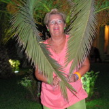 Profilfoto von Doris Frommh