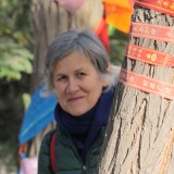 Profilfoto von Elke Schulte-Güstenberg