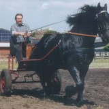 Profilfoto von Hans Hermann Rühl