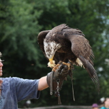 Profilfoto von Dirk Metzger