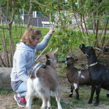 Profilfoto von Birgit Rohde