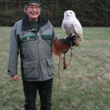 Profilfoto von Cornelia Schönfelder