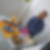 Profilbild von Thomas Schwarz
