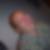 Profilbild von Stefan Henning