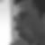 Profilbild von Steven Flemming