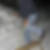 Profilbild von Amit Biswas