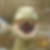 Profilbild von Enno Remmert