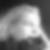 Profilbild von Nicole Pracejus