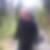 Profilbild von Norbert Höfs