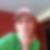 Profilbild von Ulrike Hibel