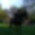 Profilbild von Kerstin Fritsch