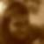 Profilbild von Sebastian Bittner