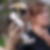 Profilbild von Uschi Schax