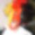 Profilbild von Sascha Remmel