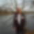 Profilbild von Michael Fischer