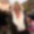 Profilbild von Stephanie Conrads