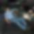 Profilbild von Christian Pagis