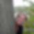 Profilbild von Marianne Heyartz