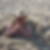 Profilbild von Peter Dreyer