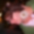 Profilbild von Heike Ziegler