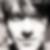 Profilbild von Ronald Heinz
