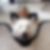 Profilbild von Steffi Schlayer