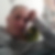 Profilbild von Roland Wodtke