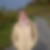 Profilbild von Natalie Wacker