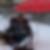 Profilbild von Dirk Stapff