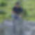 Profilbild von Nico Heimerdinger