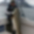 Profilbild von Silke Vilcins