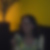 Profilbild von Gabriele Liebig