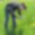 Profilbild von Silke Möller