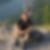 Profilbild von Reiner Stucht