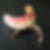 Profilbild von Christian Scheidler