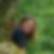 Profilbild von Alexandra Binder