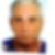 Profilbild von Rolf Seibert