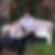 Profilbild von Solveig Birschwilks