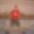 Profilbild von Pascal Bach