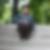 Profilbild von Karina Huwe