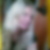 Profilbild von Silke Herdach