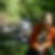 Profilbild von Daniela Burst