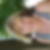 Profilbild von Birgit Bosch