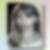 Profilbild von Maren Krause