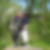 Profilbild von Silke Ike