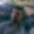 Profilbild von Matthias Gottwald