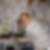 Profilbild von Sebastian Basner