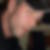 Profilbild von Stefan Kohlhöfer