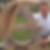 Profilbild von Andreas Gaedke