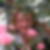 Profilbild von Heike Blode